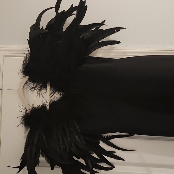 Fashion nova maxi dress with feathers - Picture 9 of 16